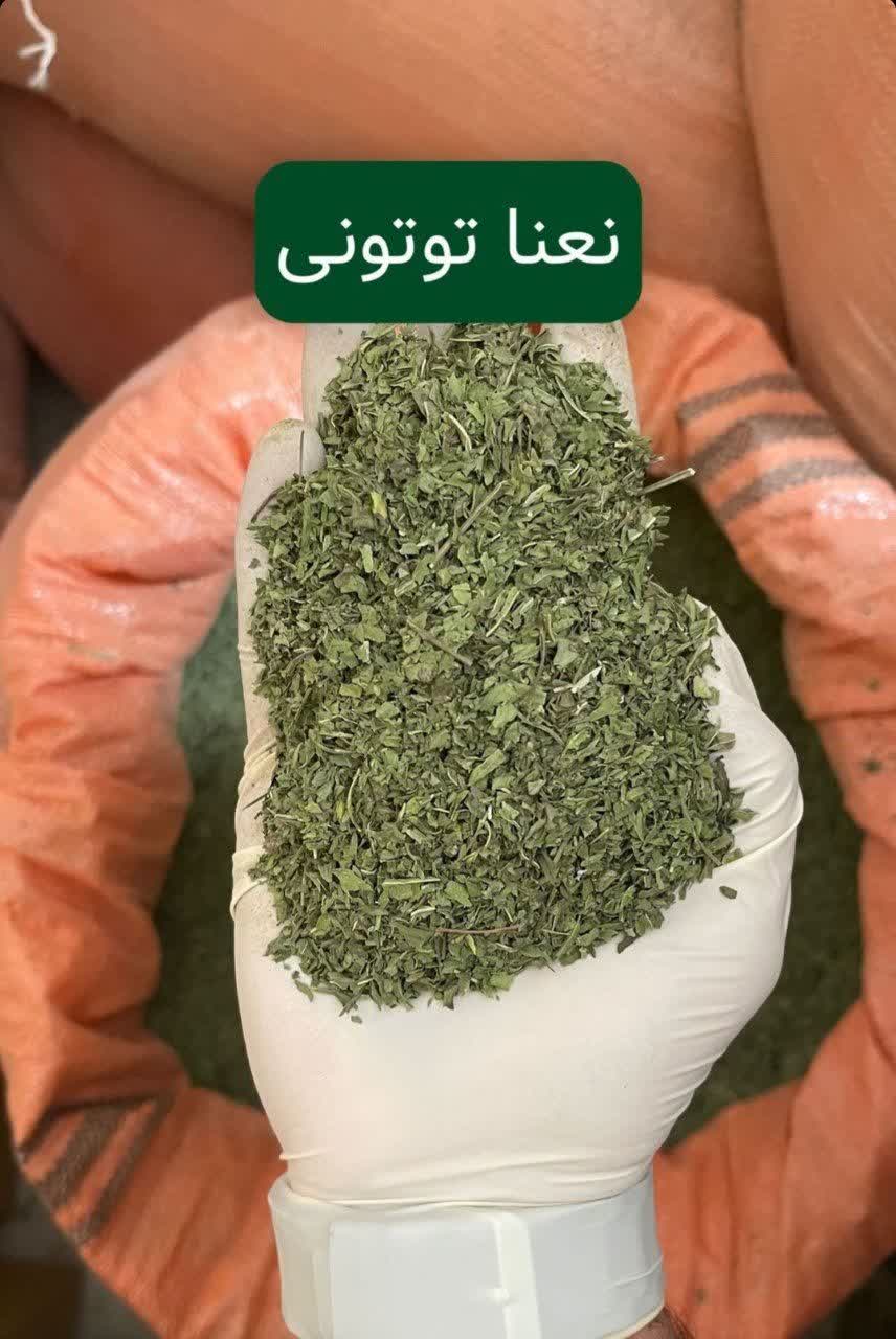 نعناع خشک 